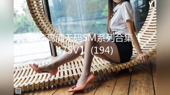 凌辱凡尔赛文学少女 003