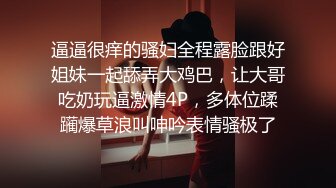 师范学院羞涩学姐【小梅】出租房与男友性爱自拍，从脱到干床上搞到床下，姿势多妹子很能叫，对话真实有意思