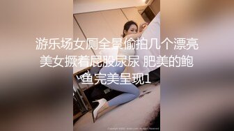 游乐场女厕全景偷拍几个漂亮美女撅着屁股尿尿 肥美的鲍鱼完美呈现1