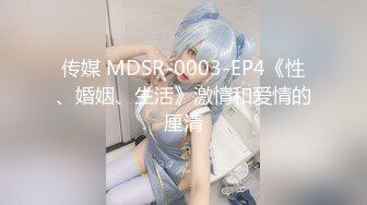 传媒 MDSR-0003-EP4《性、婚姻、生活》激情和爱情的厘清