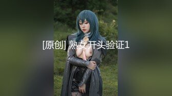 麻豆传媒 Pussy Hunter PS017 激情3P黑丝巨乳家政妇