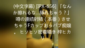 (中文字幕) [IPX-656] 「なんか擦れるな…挿れちゃう？」 噂の連続射精（本番）させちゃうFカップおっパブ痴嬢。 ヒソヒソ密着囁き 梓ヒカリ