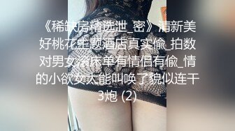 性保健 气质美熟女 女王范 情趣内衣骚舞诱惑 露奶 特写 (1)