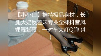 深圳Ts小奶油 -：伪娘女声勾引直男，遇到辱骂性S直男  ，人美声甜，淫荡式对白 太令人销魂！