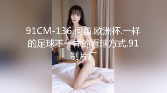 91CM-136.何苗.欧洲杯.一样的足球不一样的看球方式.91制片厂