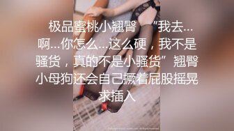 【推特精品反差露出女神】精选多位网红主播模特超大尺度 户外露出