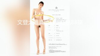 神秘人出品,必属精品，请勿外流 (3)