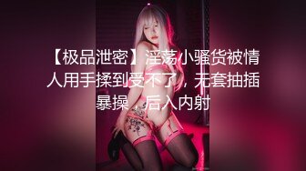 极品00后美女嫩模【奶瓶】推特反差自拍福利~盛世美颜配诱惑花蝴蝶纹身很屌的样子