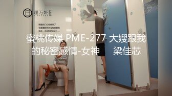 蜜桃传媒 PME-277 大嫂跟我的秘密感情-女神❤️梁佳芯