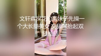 香蕉视频 xjx-0020 极品小母狗 清晨帮你口-狐不妖