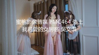 蜜桃影像傳媒 PMC464 強上我可愛的女房客 吳文淇