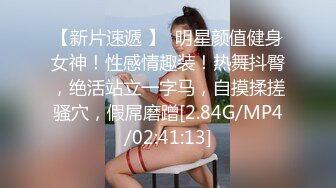 [2DF2] 圣诞系列胖 宅男 弟 弟 的 圣诞愿望破处小仙女720p[BT种子]