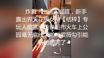 女友再次激情KJ