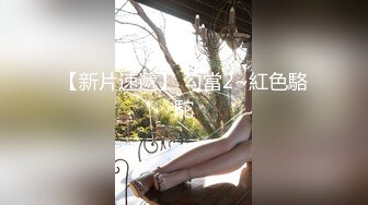 淫棍洋土豪米糕东莞行酒店爆操木瓜大奶豹纹黑丝小可爱这小妞被糕爷大屌干的呻吟太刺激720P高清