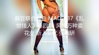 麻豆传媒 MCY-0027《空姐女友被强暴》-苏清歌