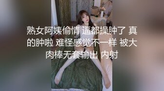 长春小妹调教第三段