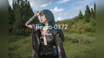 heyzo-0372