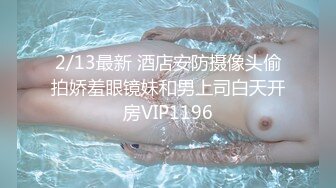 2/13最新 酒店安防摄像头偷拍娇羞眼镜妹和男上司白天开房VIP1196