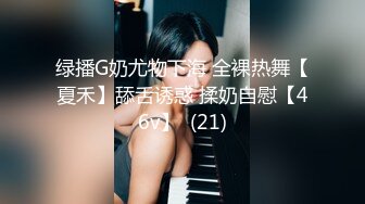 母乳妻発掘 即撮りAVデビュー！！ 畑野聖奈