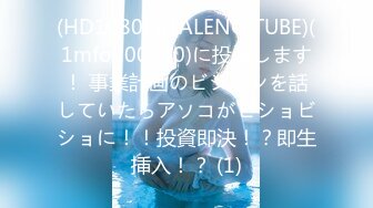 (HD1080P)(FALENO TUBE)(1mfod00010)に投資します！ 事業計画のビジョンを話していたらアソコがビショビショに！！投資即決！？即生挿入！？ (1)