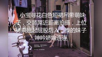 商业女间谍苏小小