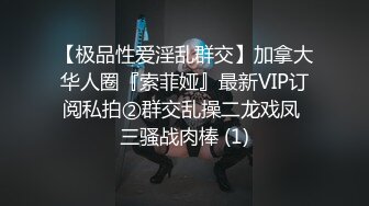 【极品性爱淫乱群交】加拿大华人圈『索菲娅』最新VIP订阅私拍②群交乱操二龙戏凤 三骚战肉棒 (1)