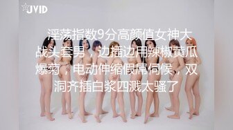 美女航空一级毛片在线播放