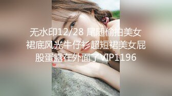 无水印12/28 尾随偷拍美女裙底风光牛仔衫超短裙美女屁股蛋露在外面了VIP1196