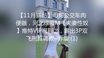 【11月新品】母狗公交车肉便器，河北绿帽M【夫妻性奴】推特VIP福利②，露出3P双飞刑具调教~炸裂 (1)