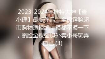 2023-2024年推特大神【查小理】最新作品，全裸露脸超市购物遭拒绝，摸都不摸一下，露脸全裸强迫外卖小哥玩弄自己 (3)