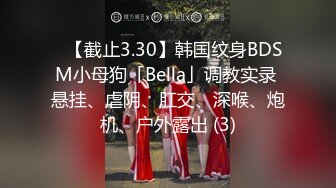 ✨【截止3.30】韩国纹身BDSM小母狗「Bella」调教实录 悬挂、虐阴、肛交、深喉、炮机、户外露出 (3)